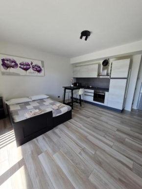 Grazioso Monolocale Milano Milano